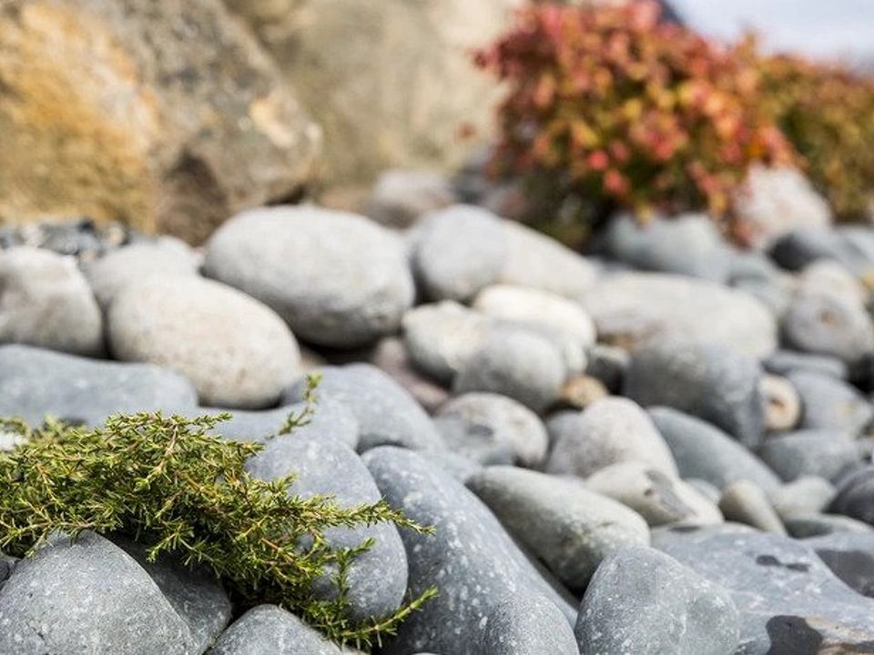 River Stones