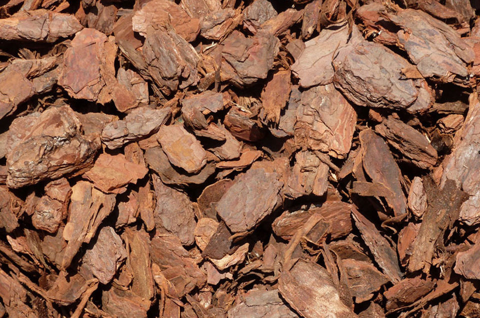 Large Nugget Bark (20-50mm)