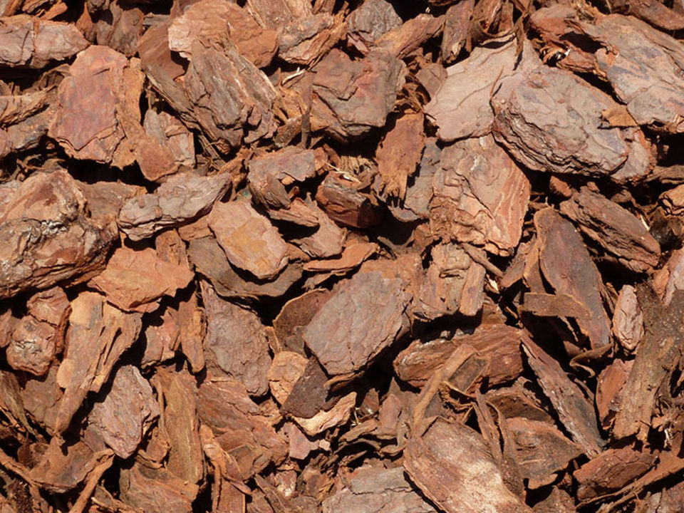 Large Nugget Bark (20-50mm)