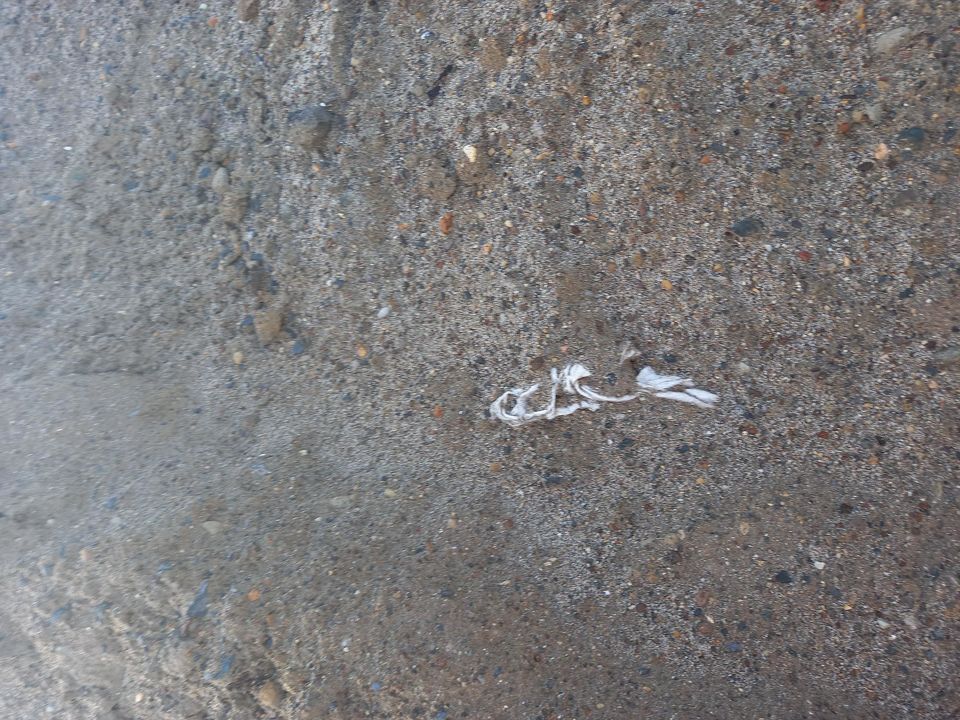 Reclaimed Sand