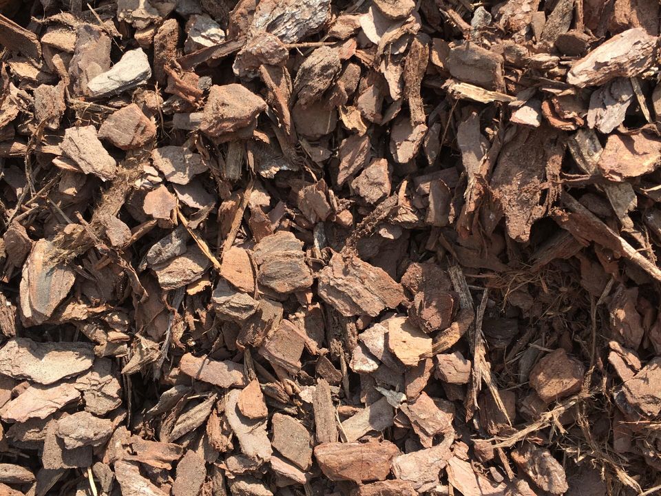 Small Nugget Bark (10-20mm)