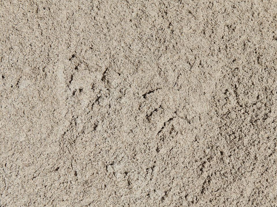 Mortar Sand (2000)